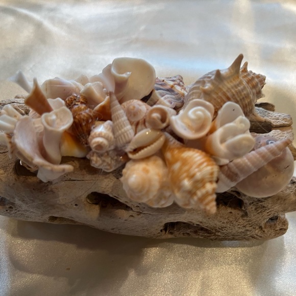 Handmade Seashell Driftwood Art - Picture 4 of 6